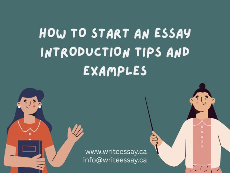 How To Write An Essay Introduction | Essay Introduction Examples