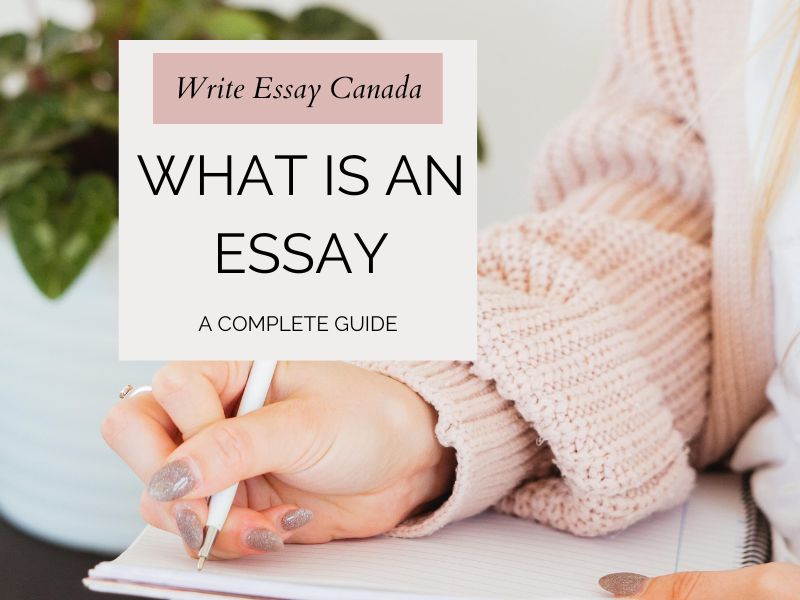 What is an Essay